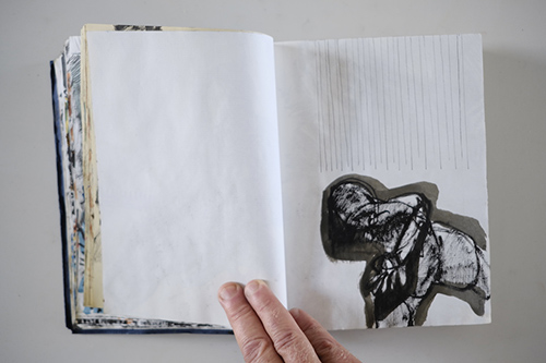 carnets | carnet-2011 | &copy; patrice de Santa Coloma