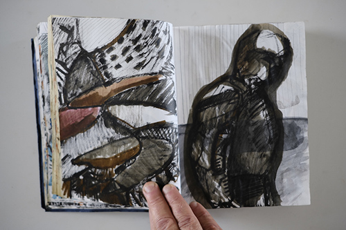 carnets | carnet-2011 | &copy; patrice de Santa Coloma