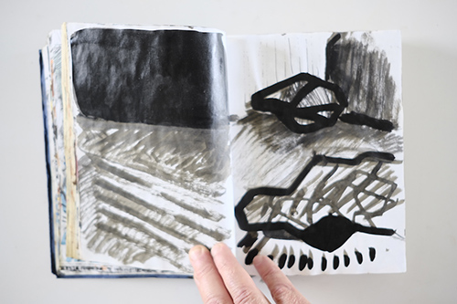 carnets | carnet-2011 | &copy; patrice de Santa Coloma