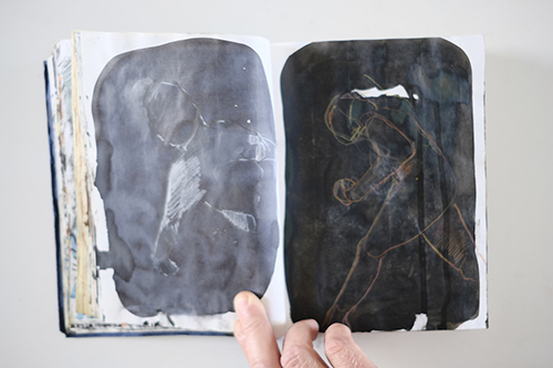 carnets | carnet-2011 | &copy; patrice de Santa Coloma