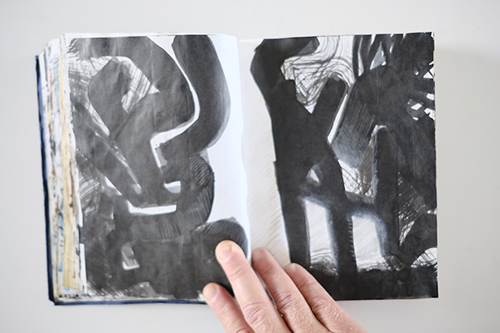 carnets | carnet-2011 | &copy; patrice de Santa Coloma