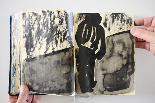 carnets | carnet-2011 | &copy; patrice de Santa Coloma
