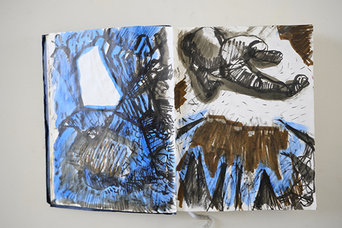 carnets | carnet-2011 | &copy; patrice de Santa Coloma