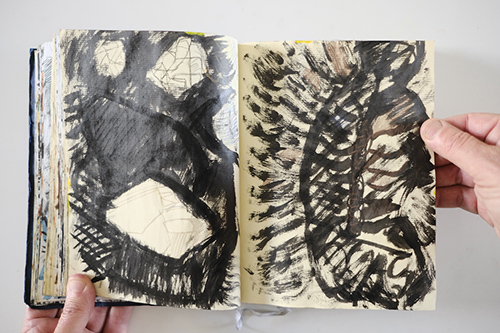 carnets | carnet-2011 | &copy; patrice de Santa Coloma