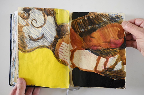 carnets | carnet-2011 | &copy; patrice de Santa Coloma
