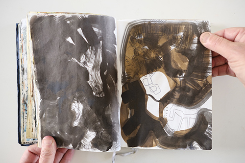 carnets | carnet-2011 | &copy; patrice de Santa Coloma