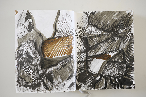 carnets | carnet-2011 | &copy; patrice de Santa Coloma