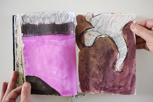 carnets | carnet-2011 | &copy; patrice de Santa Coloma