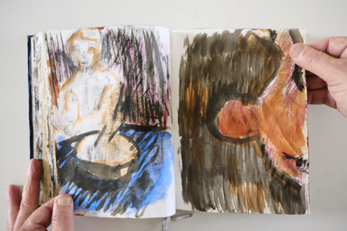 carnets | carnet-2011 | &copy; patrice de Santa Coloma