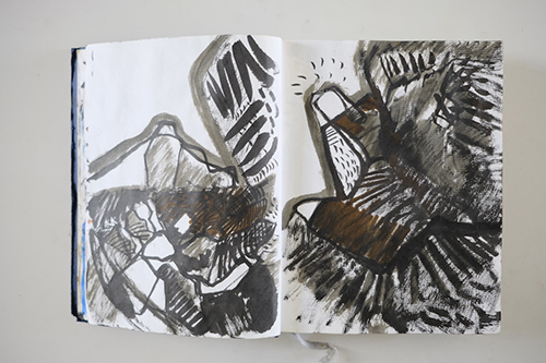 carnets | carnet-2011 | &copy; patrice de Santa Coloma