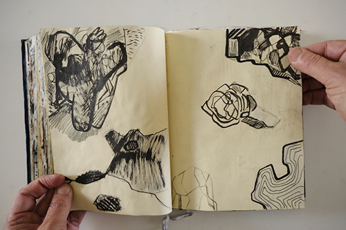 carnets | carnet-2011 | &copy; patrice de Santa Coloma