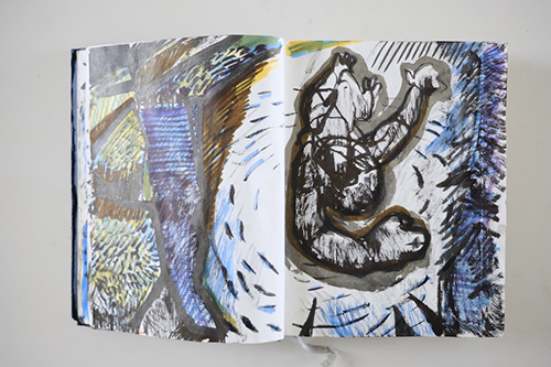 carnets | carnet-2011 | &copy; patrice de Santa Coloma