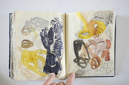 cuadernos | carnet-2012 | &copy; patrice de Santa Coloma