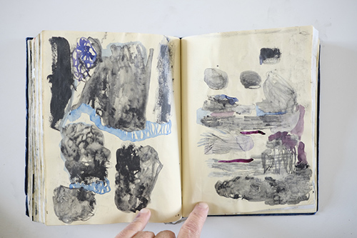 cuadernos | carnet-2012 | &copy; patrice de Santa Coloma
