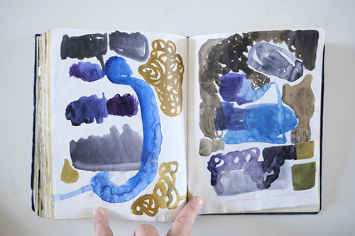 cuadernos | carnet-2012 | &copy; patrice de Santa Coloma