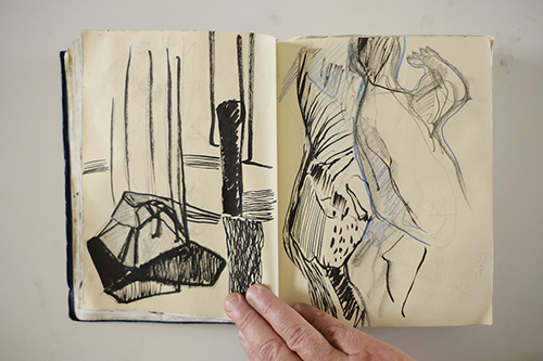 cuadernos | carnet-2012 | &copy; patrice de Santa Coloma