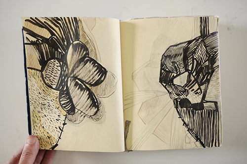 cuadernos | carnet-2012 | &copy; patrice de Santa Coloma