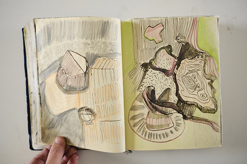 cuadernos | carnet-2012 | &copy; patrice de Santa Coloma