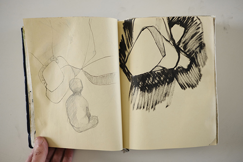 cuadernos | carnet-2012 | &copy; patrice de Santa Coloma