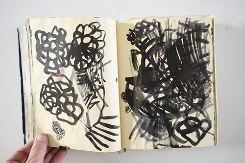 cuadernos | carnet-2012 | &copy; patrice de Santa Coloma