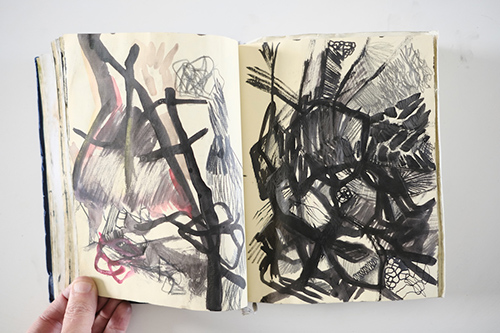 cuadernos | carnet-2012 | &copy; patrice de Santa Coloma