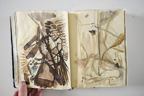 cuadernos | carnet-2012 | &copy; patrice de Santa Coloma