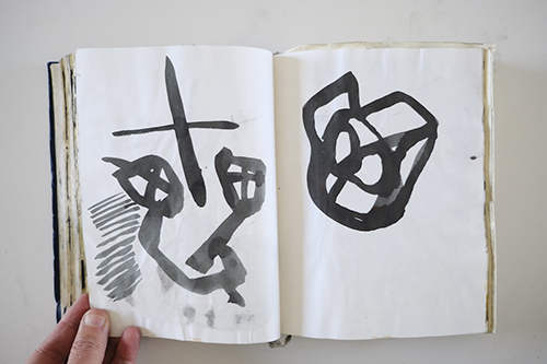 cuadernos | carnet-2012 | &copy; patrice de Santa Coloma