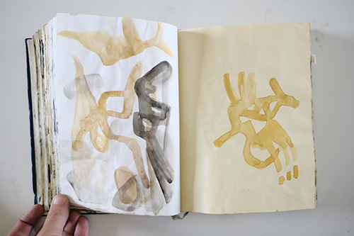 cuadernos | carnet-2012 | &copy; patrice de Santa Coloma