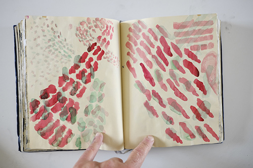 cuadernos | carnet-2012 | &copy; patrice de Santa Coloma
