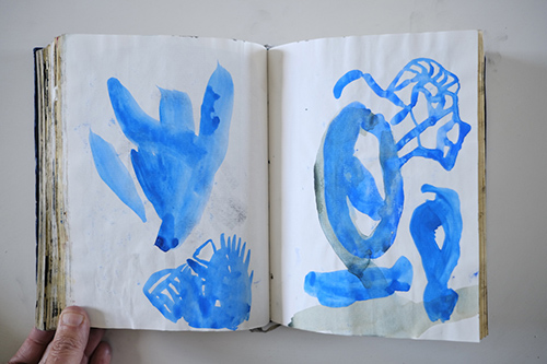 cuadernos | carnet-2012 | &copy; patrice de Santa Coloma