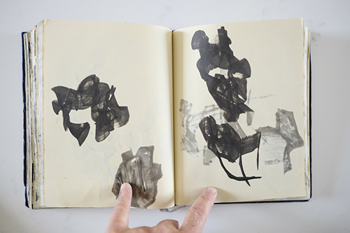 cuadernos | carnet-2012 | &copy; patrice de Santa Coloma