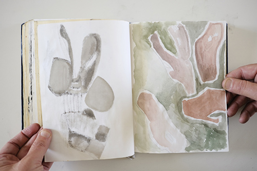 carnets | carnet-2013 | &copy; patrice de Santa Coloma