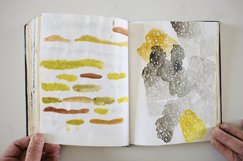 carnets | carnet-2013 | &copy; patrice de Santa Coloma