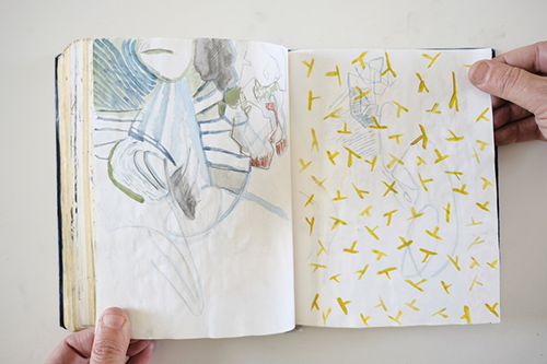 carnets | carnet-2013 | &copy; patrice de Santa Coloma