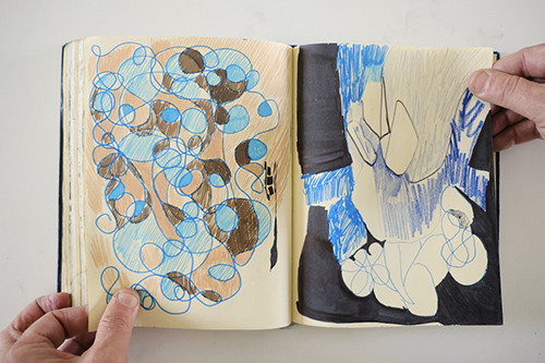 carnets | carnet-2013 | &copy; patrice de Santa Coloma