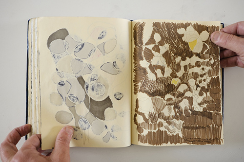 carnets | carnet-2013 | &copy; patrice de Santa Coloma