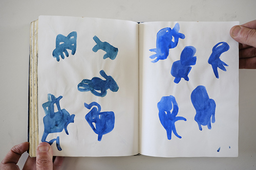 carnets | carnet-2013 | &copy; patrice de Santa Coloma