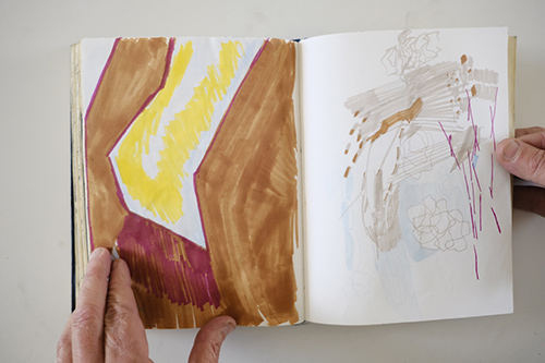 carnets | carnet-2013 | &copy; patrice de Santa Coloma