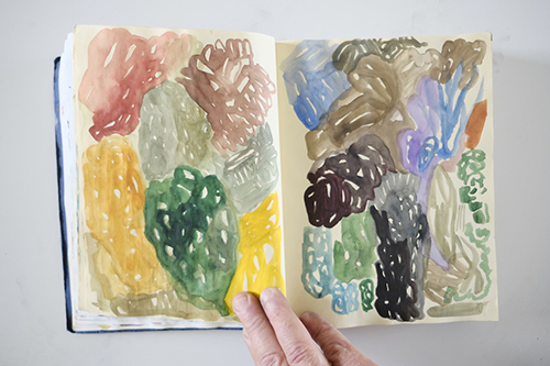 carnets | carnet-2013 | &copy; patrice de Santa Coloma