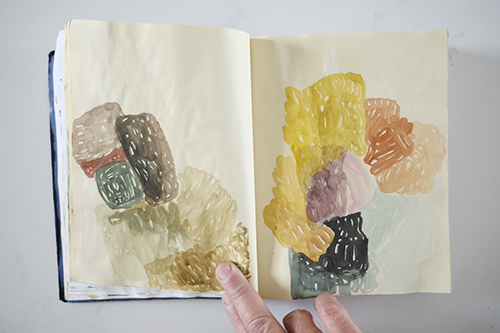 carnets | carnet-2013 | &copy; patrice de Santa Coloma