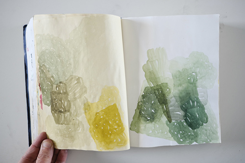 carnets | carnet-2013 | &copy; patrice de Santa Coloma
