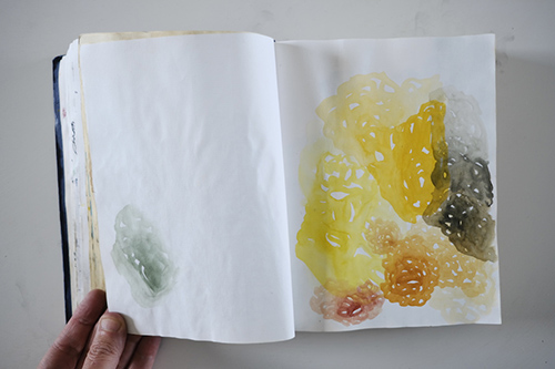 carnets | carnet-2013 | &copy; patrice de Santa Coloma