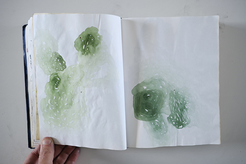 carnets | carnet-2013 | &copy; patrice de Santa Coloma