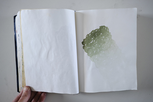 carnets | carnet-2013 | &copy; patrice de Santa Coloma