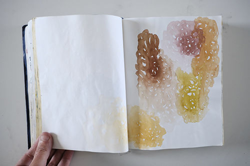 carnets | carnet-2013 | &copy; patrice de Santa Coloma