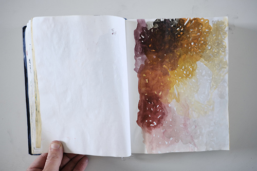 carnets | carnet-2013 | &copy; patrice de Santa Coloma