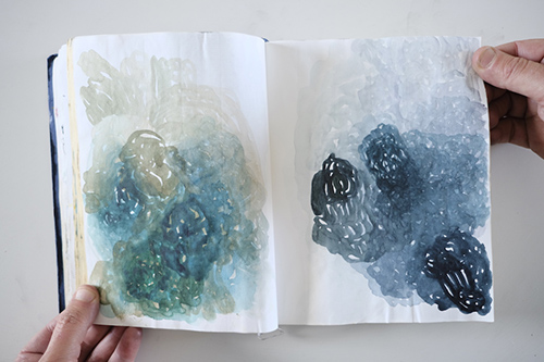 carnets | carnet-2013 | &copy; patrice de Santa Coloma