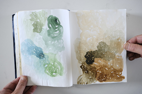 carnets | carnet-2013 | &copy; patrice de Santa Coloma