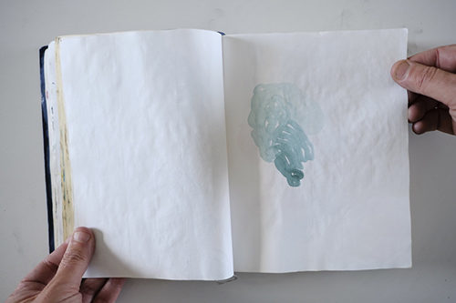 carnets | carnet-2013 | &copy; patrice de Santa Coloma