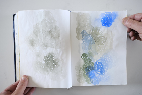 carnets | carnet-2013 | &copy; patrice de Santa Coloma